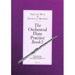 The Orchestral Flute...