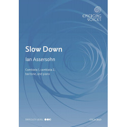 Ian Assersohn: Slow Down