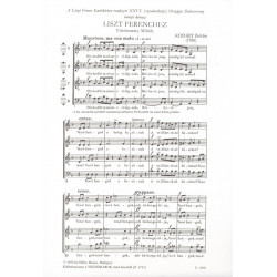 Liszt Ferenchez
