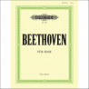Beethoven Sticky Notes