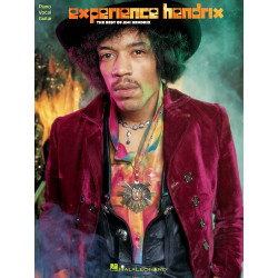 Experience Hendrix - The...