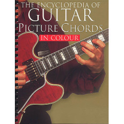 Encyclopedia Of Guitar...
