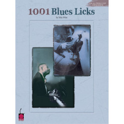 1001 Blues Licks