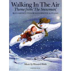 Walking In The Air (The Snowman)